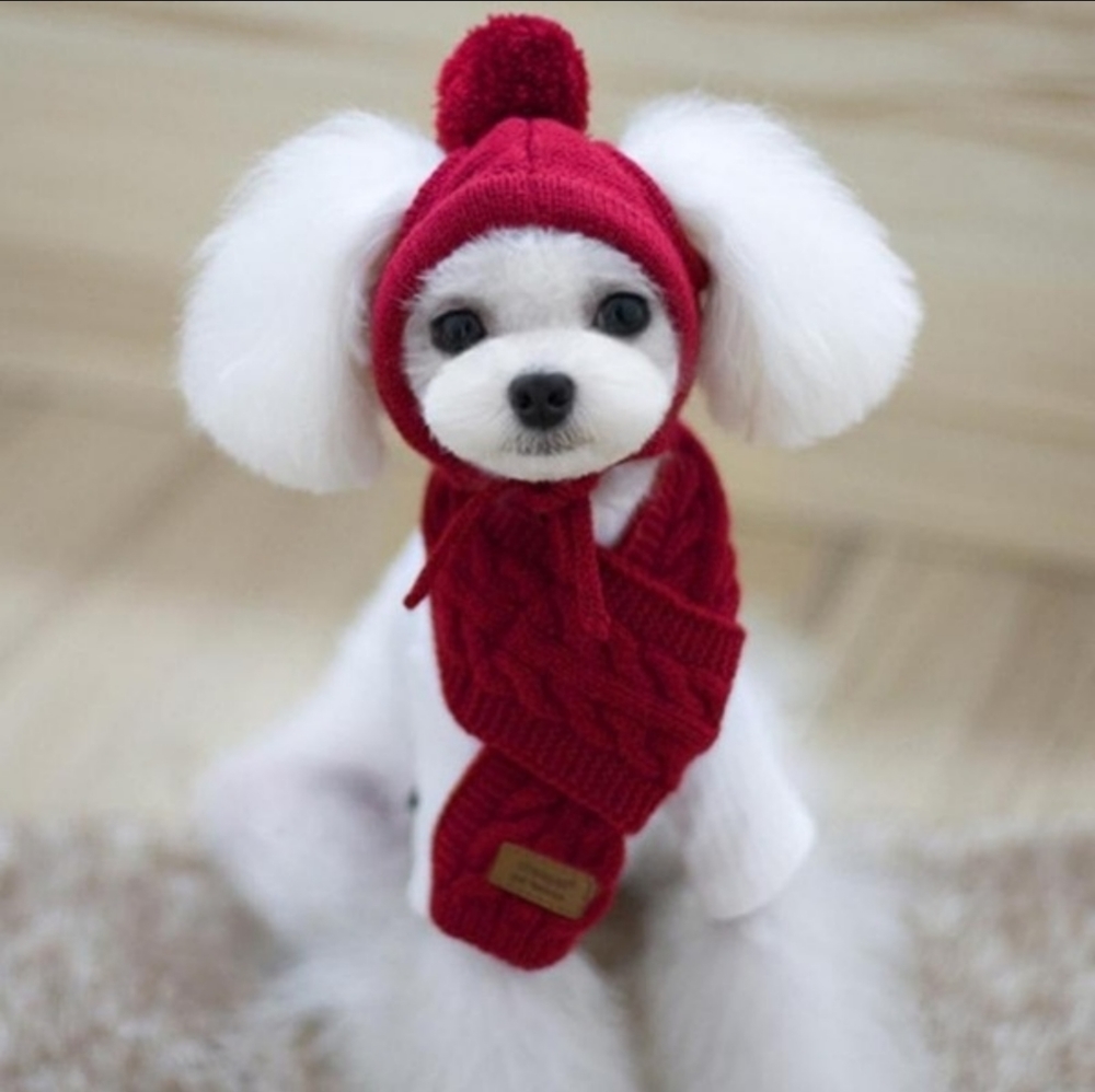 NEW SMALL DOG SWEATER AND BEANIE